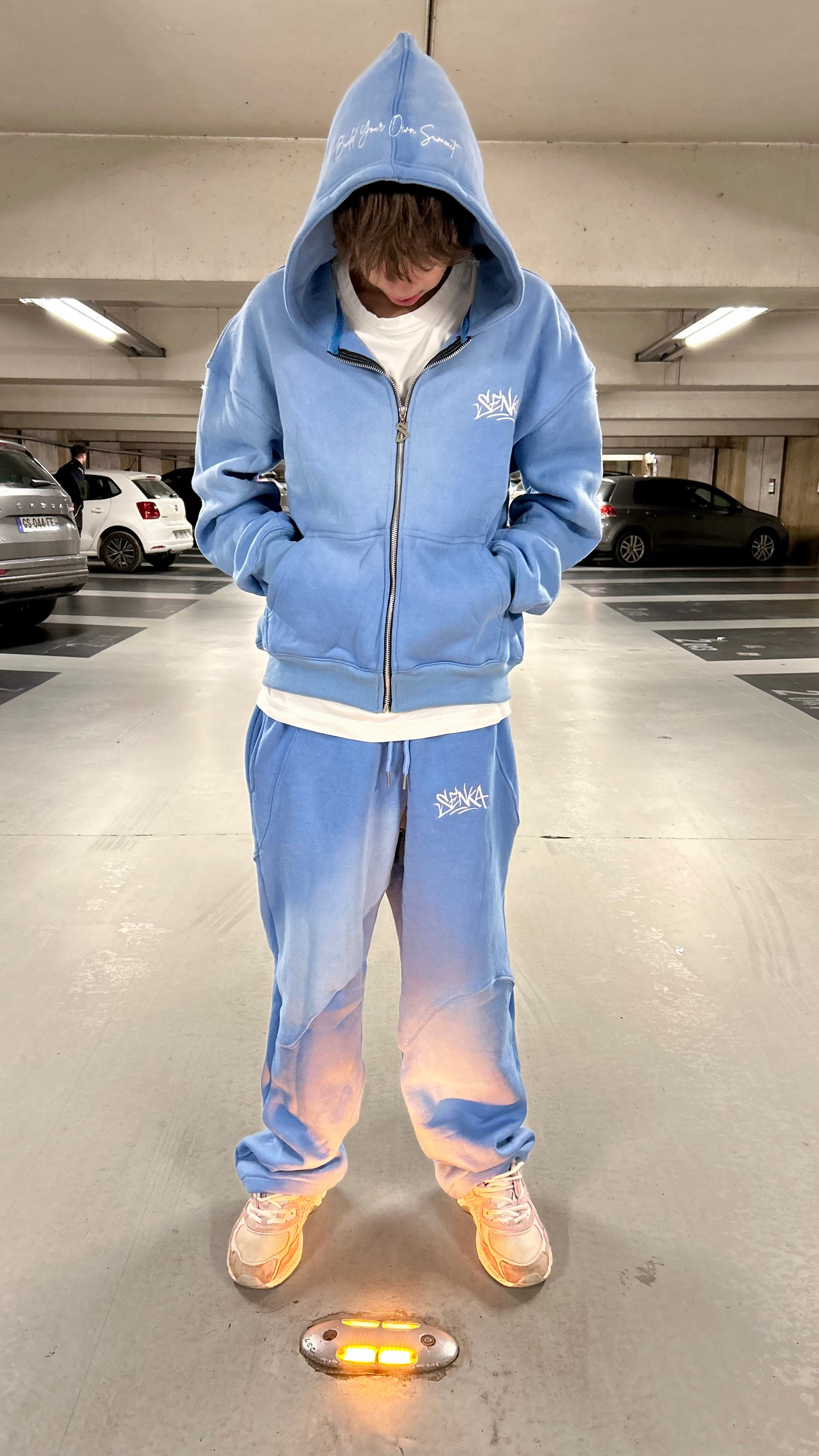 Ensemble Shadow Summit