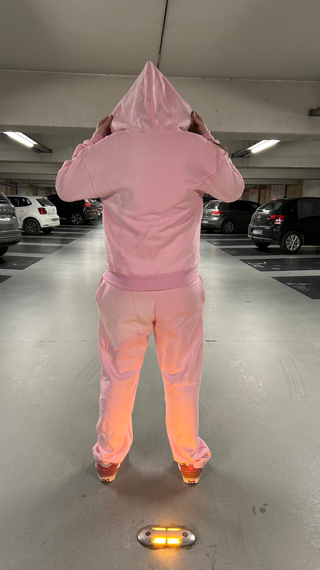 Ensemble Shadow Summit