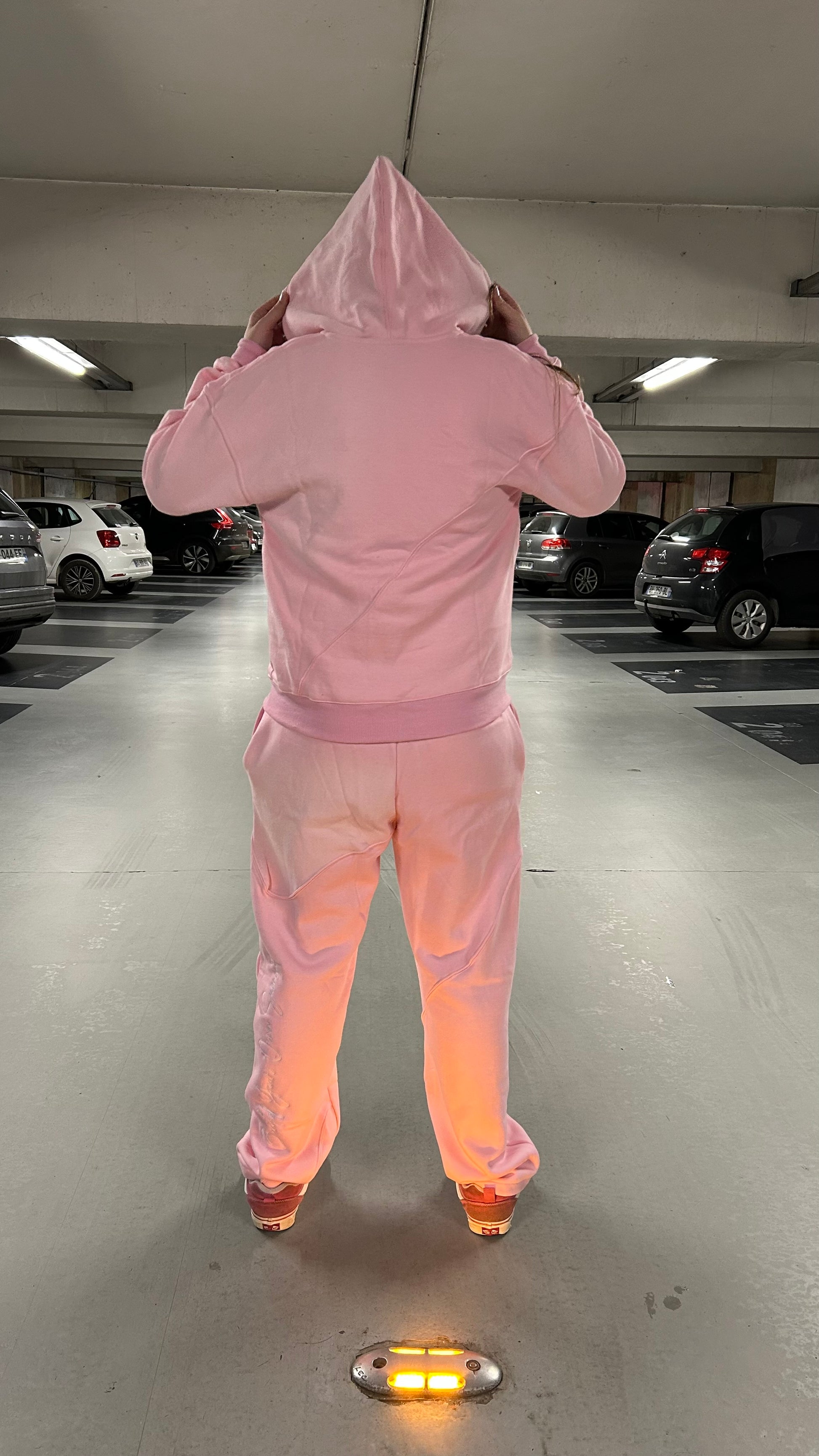 Ensemble Shadow Summit