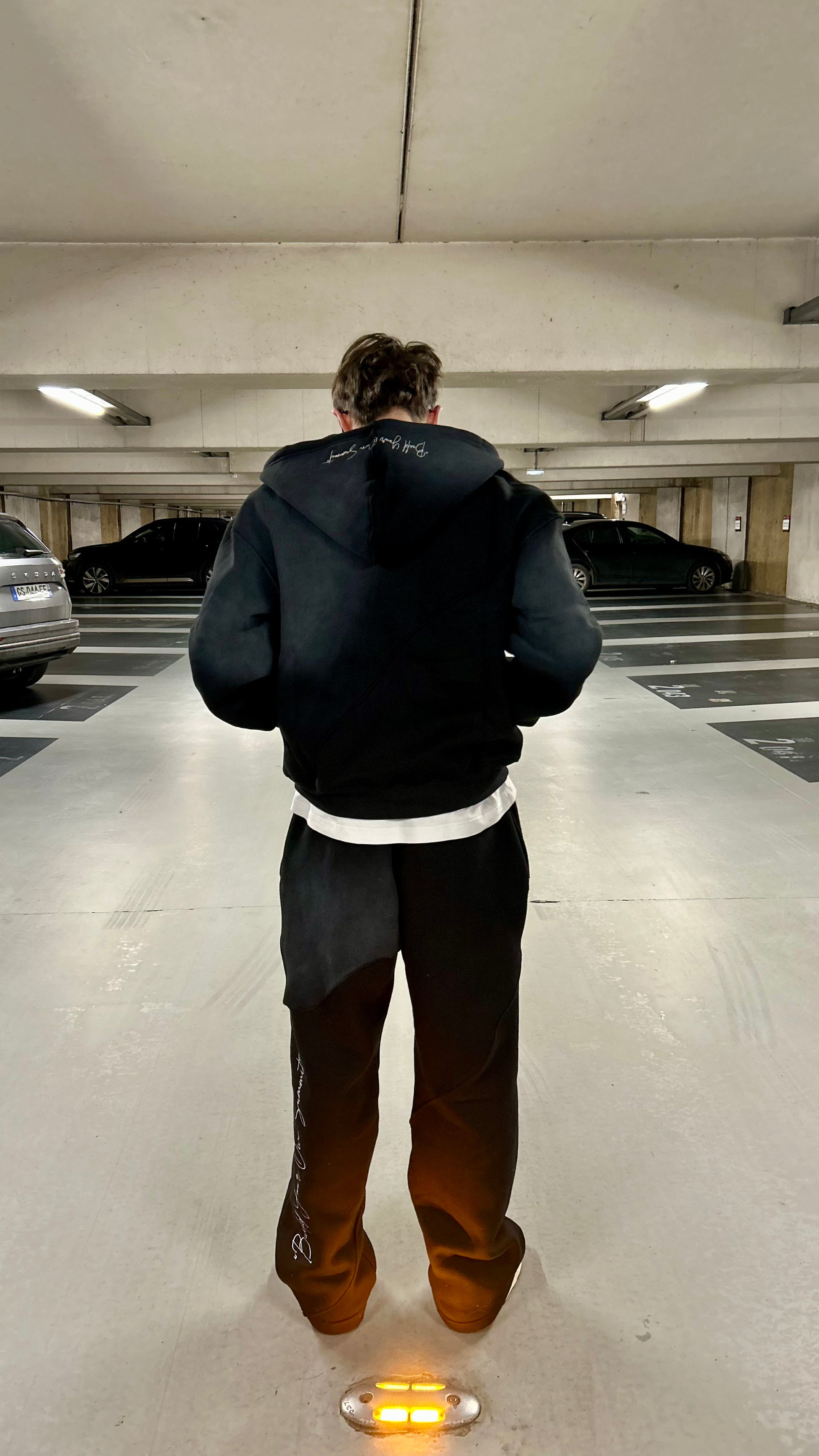 Ensemble Shadow Summit